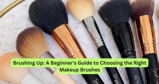 Brushing Up A Beginner's Guide to Choosing the Right Makeup Brushes